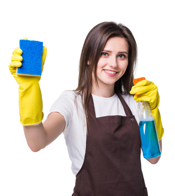 House Cleaning Services